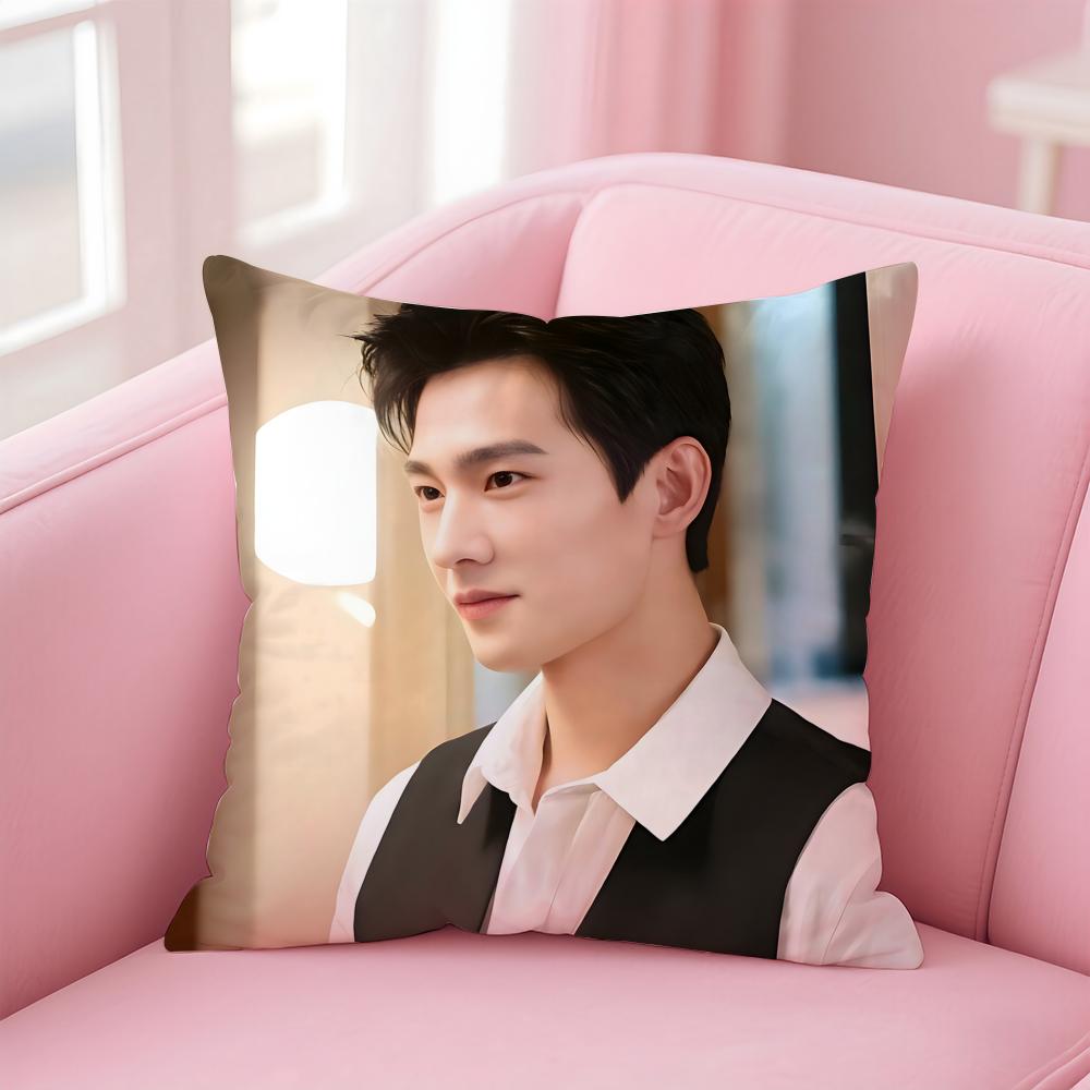 actor handsome YYang Yang Cushion Cover Pillow Case Soft Skin Friendly Fabric  Concealed Zipper