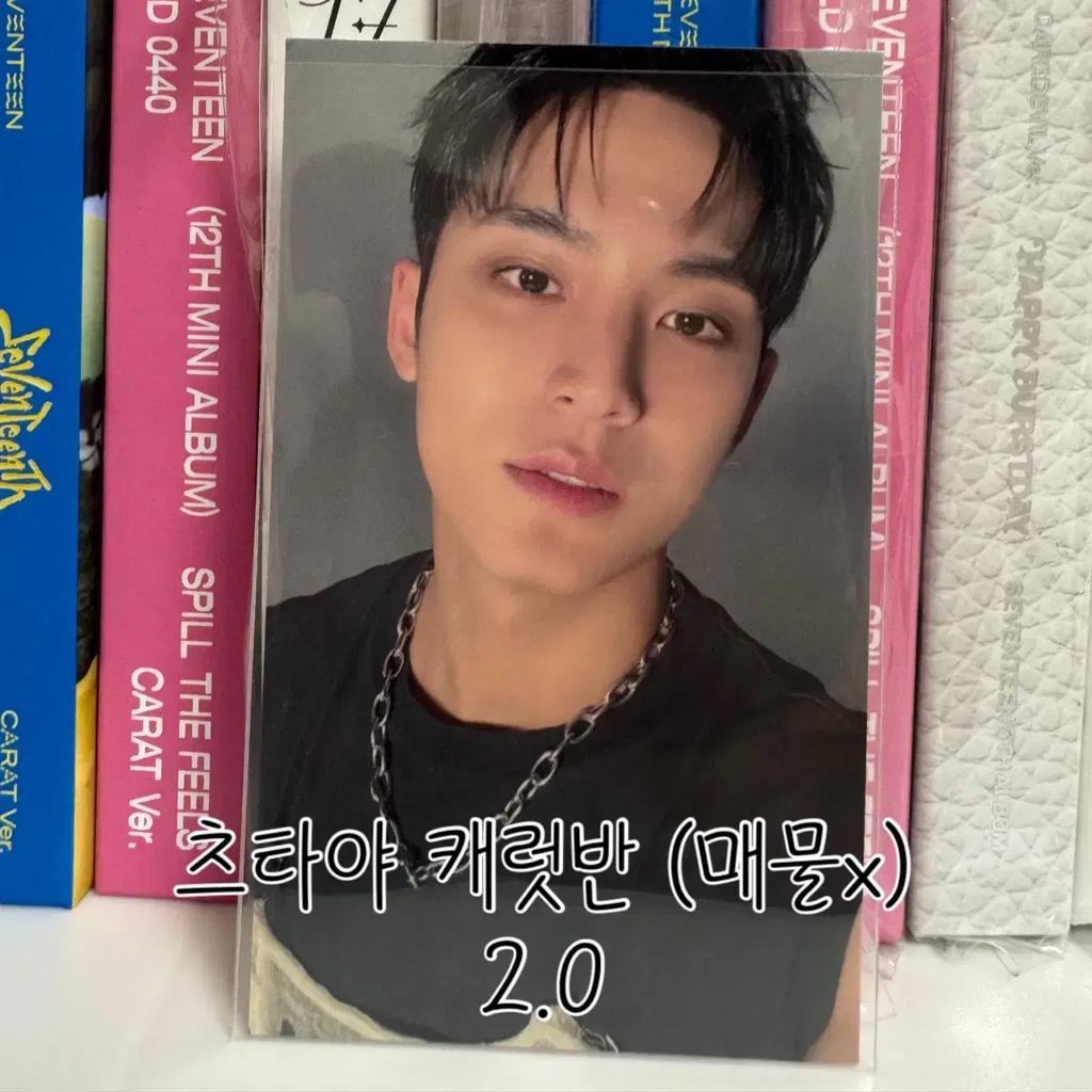 Seventeen Mingyu Spill The Feels Japan Tsutaya Carat Ban Pre-order Benefit Photocard