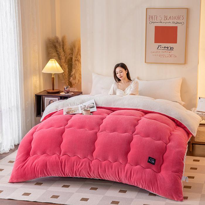 Thickened Lambswool Milk Velvet Bedding Set - Autumn/Winter Collection