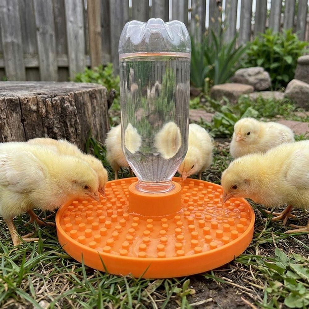 Plastic Anti-Drowning Water Feeder Multi-Hole Syrup Feeder for Bees Home Balcony