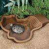 Reptilien-Wasserbecken Einsiedlerkrebs-Badebecken mit Leiter Amphibien-Badebecken Schildkröten-Badeplattform Duschbecken für Schildkröten