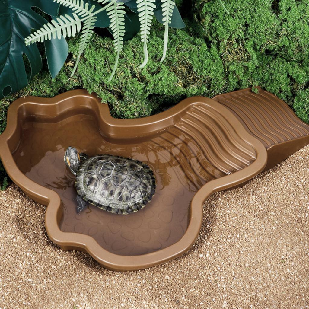 Reptilien-Wasserbecken Einsiedlerkrebs-Badebecken mit Leiter Amphibien-Badebecken Schildkröten-Badeplattform Duschbecken für Schildkröten