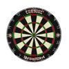 Xin Tai Hang Professional Dartboard