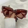 Vintage Luxury Cat Eye Sunglass Popular Designe Triangle Female Eyewear Large Frame Uv Resistant Sun Shades Glasses