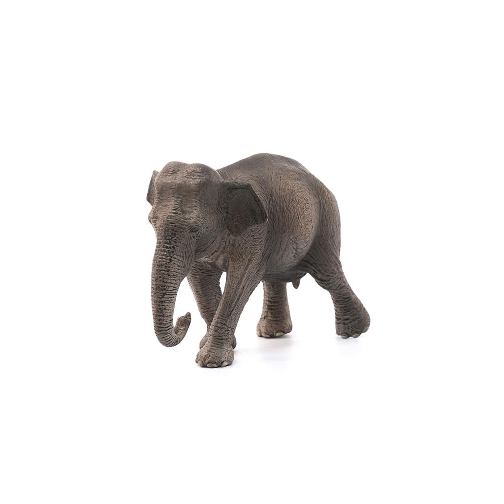 Schleich Wildlife Indian Elephant Figure 14753 (female)