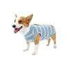 Thickened Dog Surgery Recovery Suit Breathable Bite Protective Outfit  Post-Surgery Care