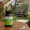 SONARK'S NISARGA HERBS Neem & Curcuma Plus Kit (120 Veg Capsules) - Organic Ayurvedic Skin Detox & Immunity Support - Natural Anti-Inflammatory &