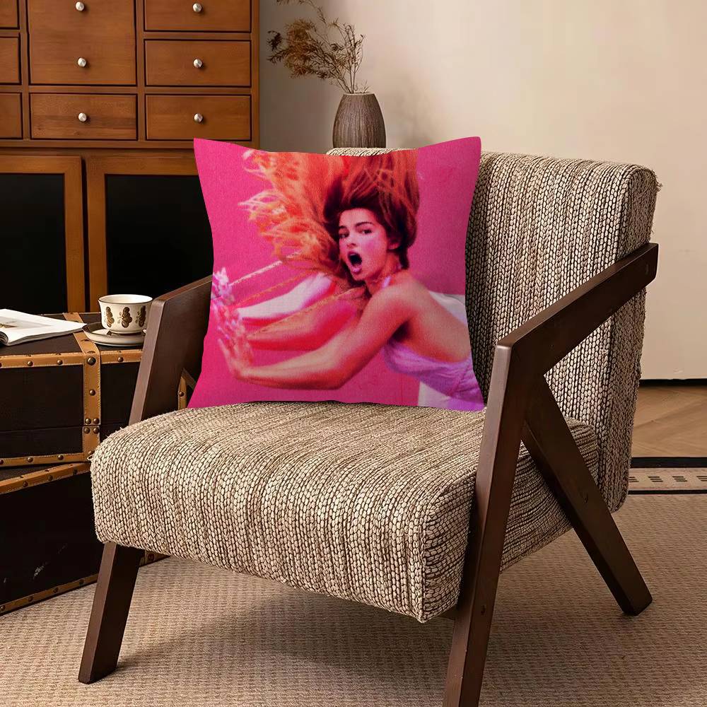 Person AAddison RRae Funny Decorative Room Aesthetics Pillow Case Home Decor Bedroom Sofa Bed Pillow Cover x