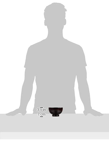 Nakatani Brothers Company Yamanaka Lacquerware Couple's Soup Bowls Brushed Pattern Negoro/Akebono W17-4