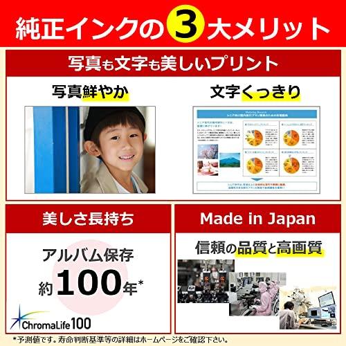 Canon genuine ink cartridge XKI-N21(BK/C/M/Y)+N20 5 color multi pack XKI-N21+N20/5MP