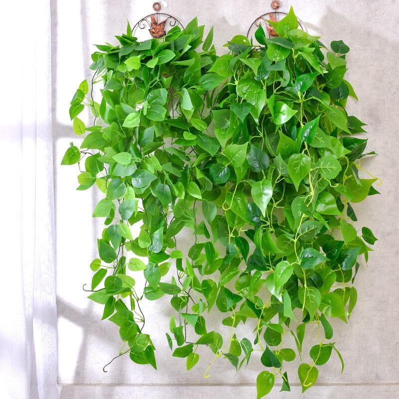Umělá Pothos závěsná liána na zeď