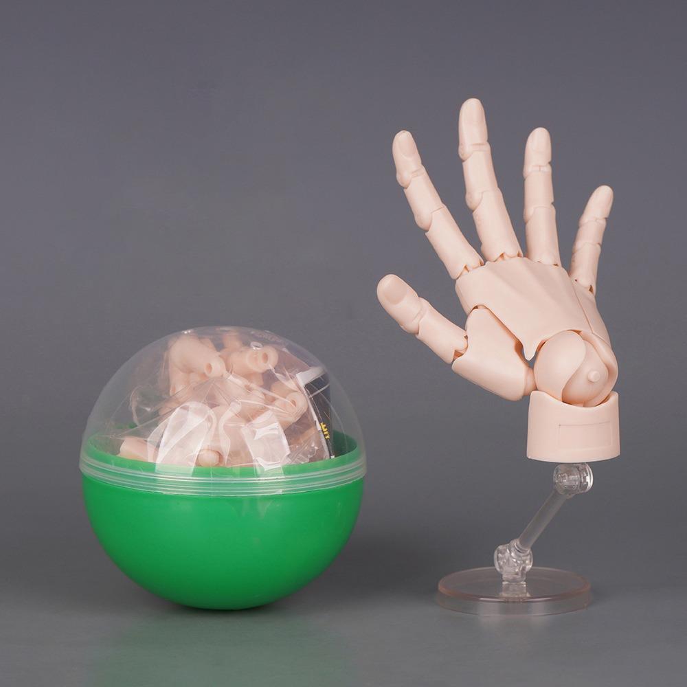 1:2 Scale Human Hand Model Mini Size Twisted Egg Design Palm Model Movable Joints With Posable Fingers Movable Finger Joints