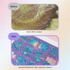 6/12Pcs Assist Aligning Diamond Painting Release Film Protective Frame Reusable Diamond Painting Alignment Tools 10cm 6 Patterns