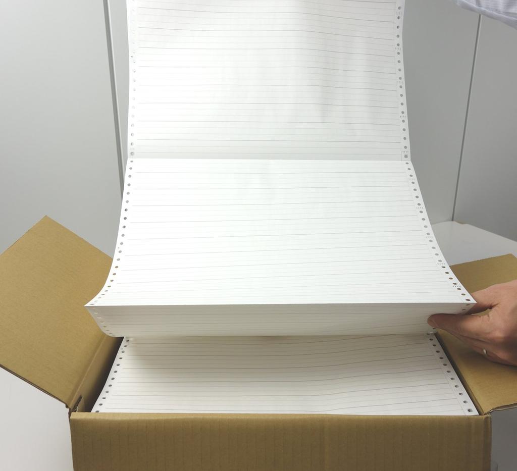 KOKUYO Continuous Invoice Single 2000 Paper, 1/3 Line, 9X11, Sheets, EC-51913S