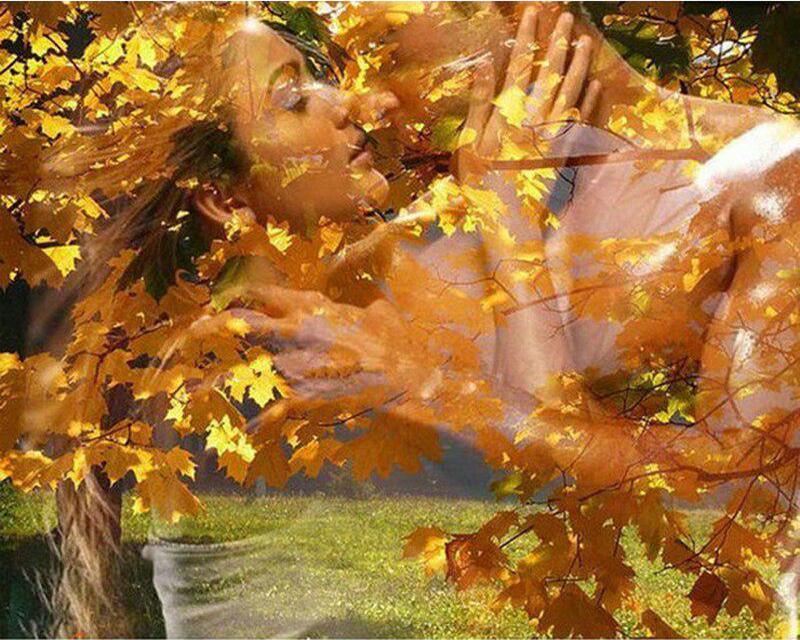 

Набор для алмазной живописи Городской пейзаж Автомобиль Стразы 5D DIY Алмазная вышивка Полный набор Слон Животное Русалка Алмазная мозаика Подарок ручной работы Full Square 20X30CM светло-синий