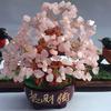 Decorative Tree Beautiful Bonsai Money Tree Decoration Ornament for Wealth and Luck for Home