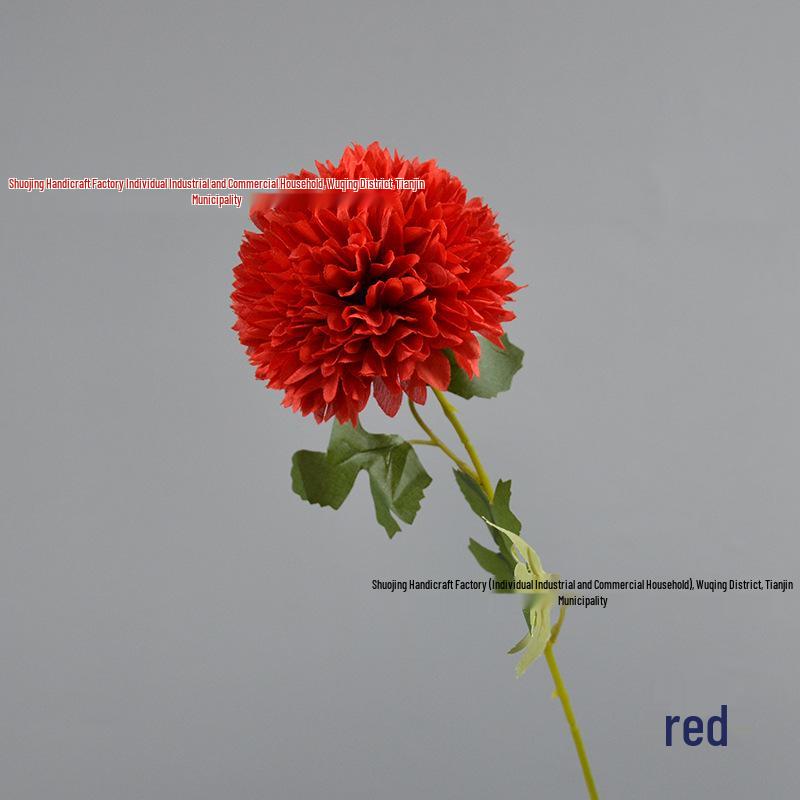 Green Onion Ball Single Stem Chrysanthemum Gift Box Bouquet and Floor Stand Accessories