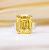 Lulu Tong S925 Silver Square Emerald-Cut Ring with Simulated High Carbon Diamond for Women