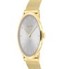 CALVIN KLEIN watch quartz movement steel strap silver dial same style for men and women 30 meters waterproof 25300003