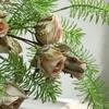 Vintage Styles Rose BouquetRose Flower Props Beautifully Crafted Fakes Flower Ornament Realistic Flower for Indoor Decor