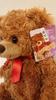 [USED] Teddy Bear Teddybear Stuffed Toy