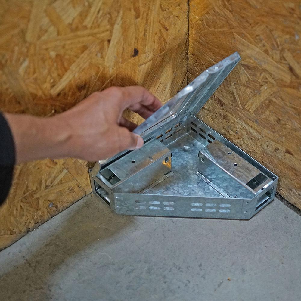 Household Mouse & Rat Trap Cage with Bait Box серебряный
