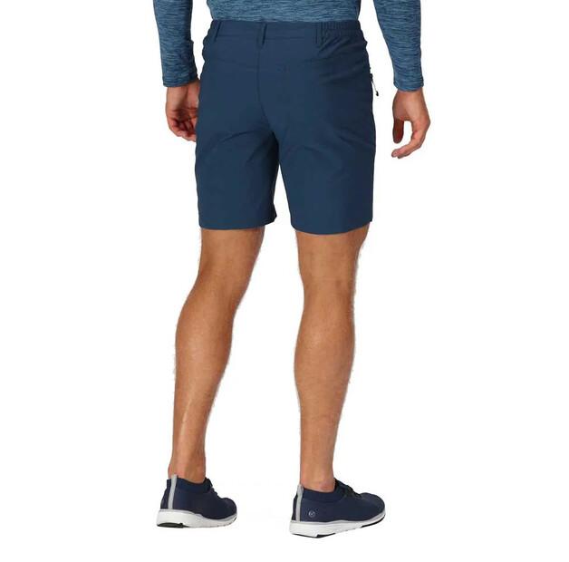 Regatta Highton Mid Shorts