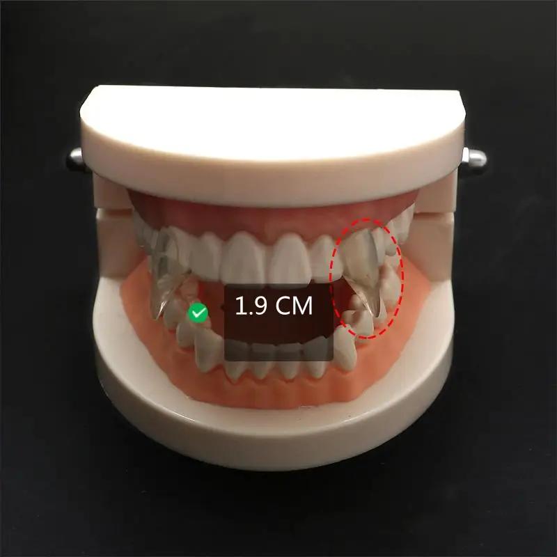 1 Paio Denti da Vampiro Zanne Protesi Oggetti di Scena Costume di Halloween Oggetti di Scena Denti Falsi Colla Solida Adesivo per Protesi Decorazione Festa di Halloween