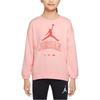 Logo Print Crewneck Casual Long Sleeve Kids Tops Pink DR8361-610
