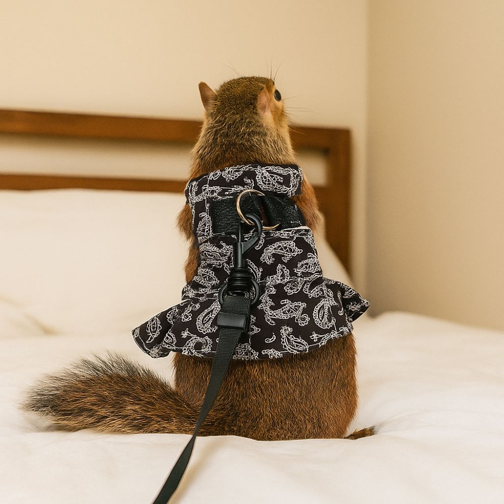 Soft Reptile Harness Dress Adjustable Reptile Walking Leash  Take Pictures