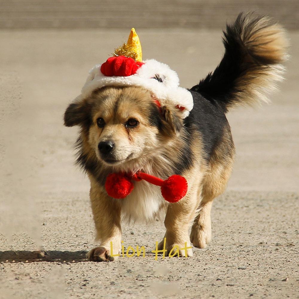 Justerbar Hund Lejondanshatt Varm Festlig Husdjurshatt Kinesisk Stil Husdjurslejonhatt Husdjursfotografering