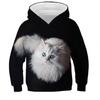 Children's Cute Cat 3D Digital Printed Boys' Personalized Fashion Hoodie Sweatshirt