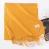 New Solid Color Maillard Imitation Cashmere Scarf for Women Autumn and Winter High End Warm Shawl Simple Scarf