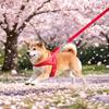 No Pull Dog Harness Breathable Mesh Padded Dog Harness Adjustable Reflective Escape Proof Dog Harness for Small Medium Large Dogs