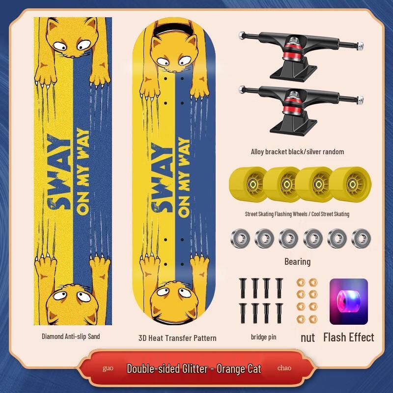 Swey Beginner Skateboard 1