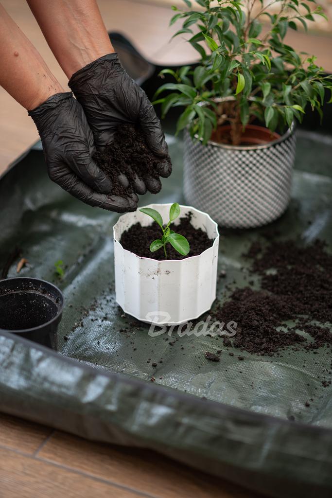 Plant Transplanting Mat 66x66 Gardening Mat for Planting and Transplanting Flowers Pots Seedlings Foldable Waterproof Tq-P1/070
