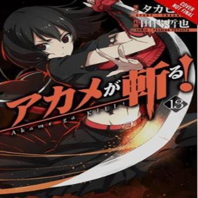 Akame Ga KILL Vol. 13 by Tetsuya Tashiro Paperback Book 9780316473354