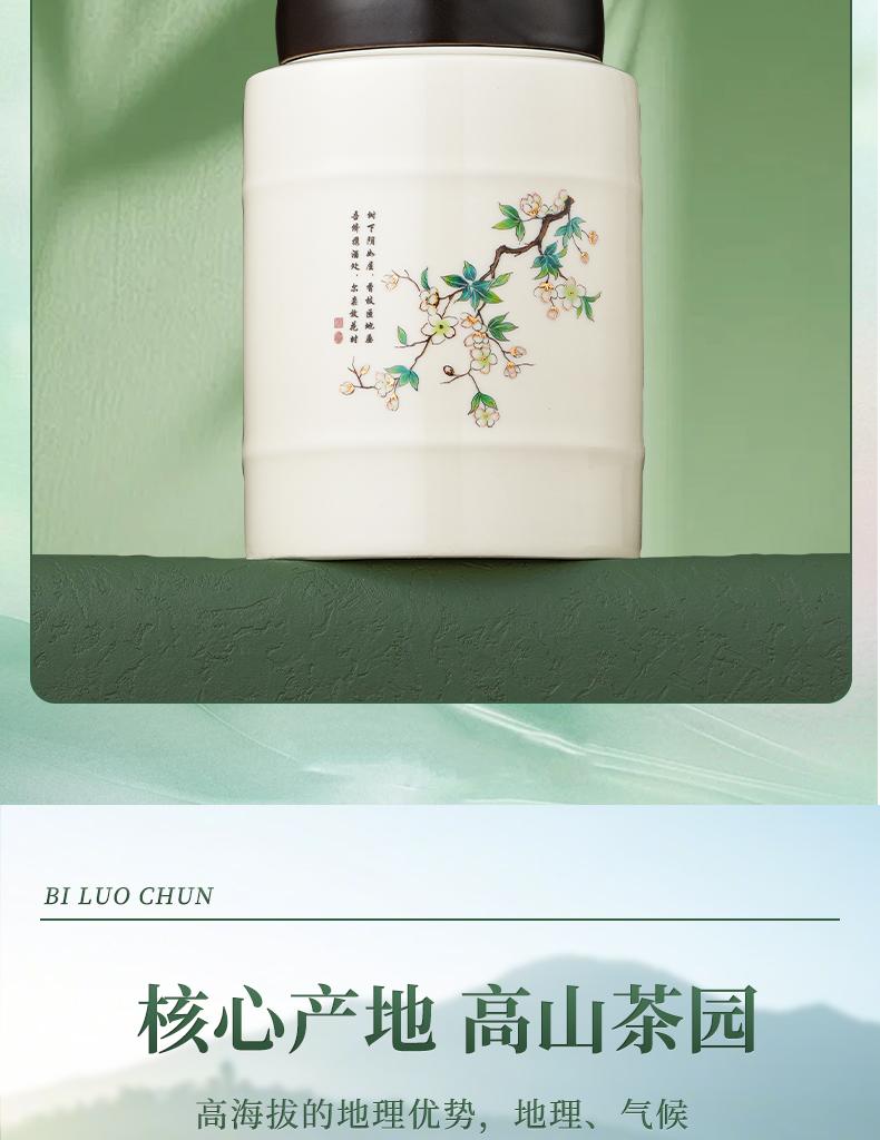 Premium Mingqian Biluochun Green Tea New Tea Xinyang Maojian Bean Fragrance Longjing Spring Tea Ceramic Gift Box Gift for Elders