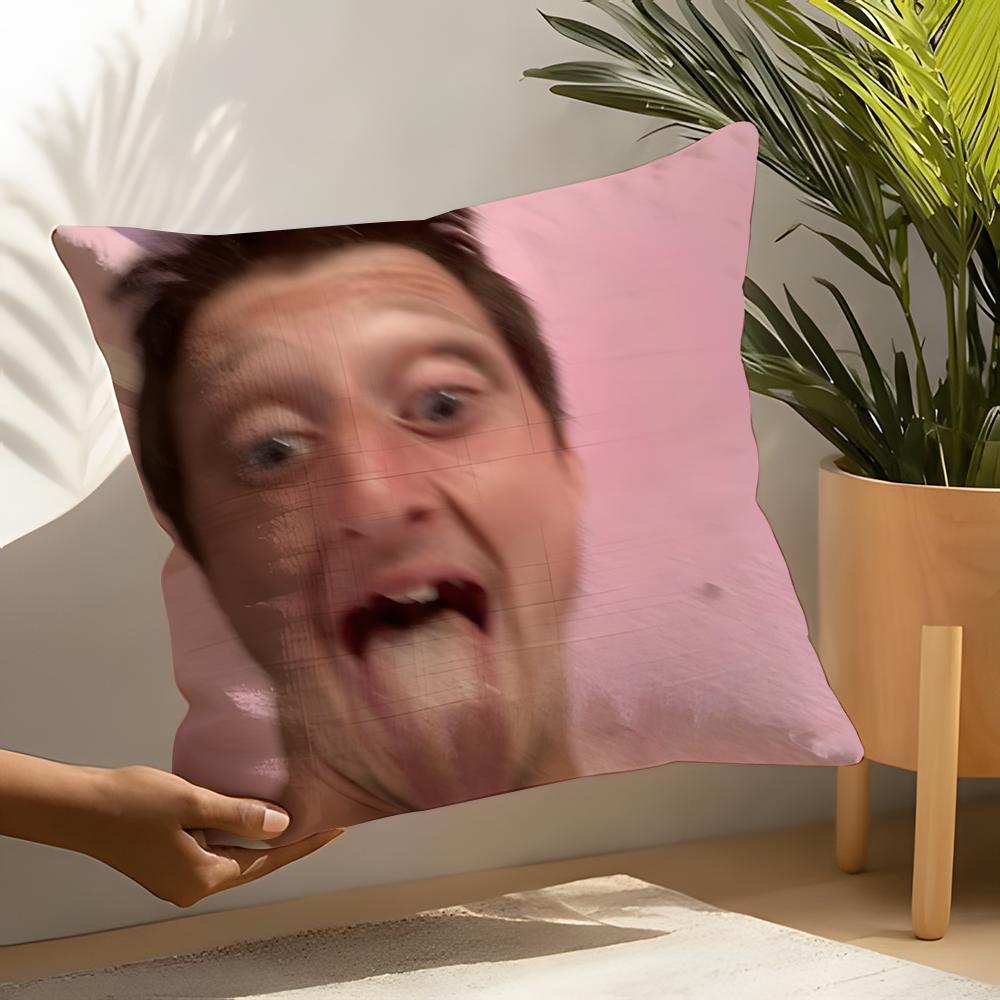 Funny Ddaniel larSson meme Pillow Case Home Living Room Decoration Linen Pillow Cases Cushion Cover