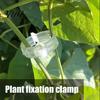 Garden Trellis Accessories Plant Support Clips, Plastic Vine Reusable Tomato Stem Adjustable Clips for Vegetables, Climbing Plants, Trellis,