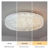 OEING Modern Full Spectrum Eye-Care LED Ceiling Light