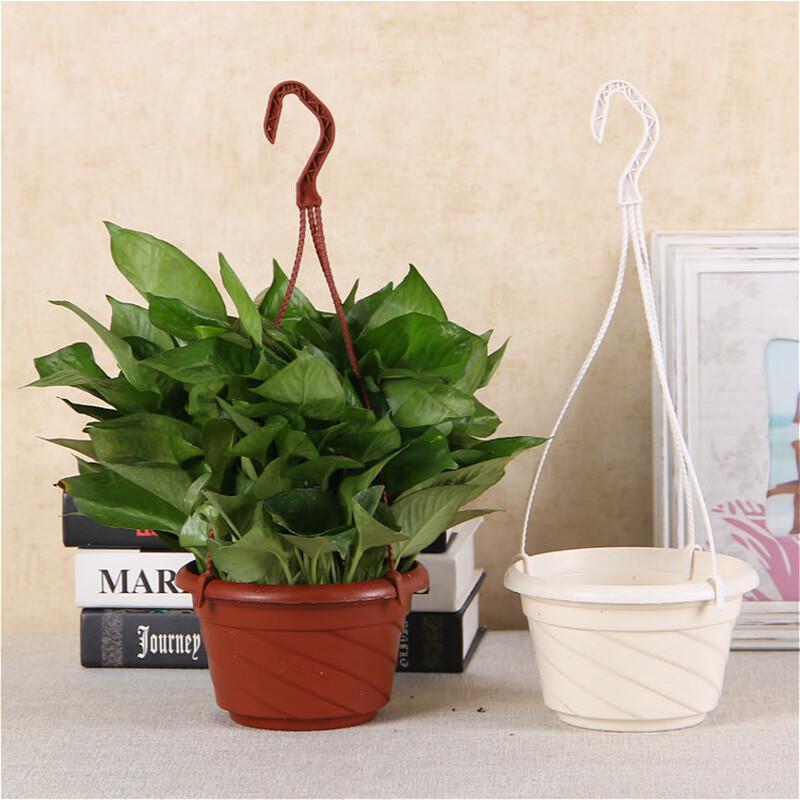 Beifute Thickened Hanging Plastic Planters (3-Pack)