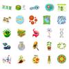50 Cartoon Creature Stickers Cute Cartoon Biology Class Children's Stationery Notebook Water Cup DIY Waterproof
