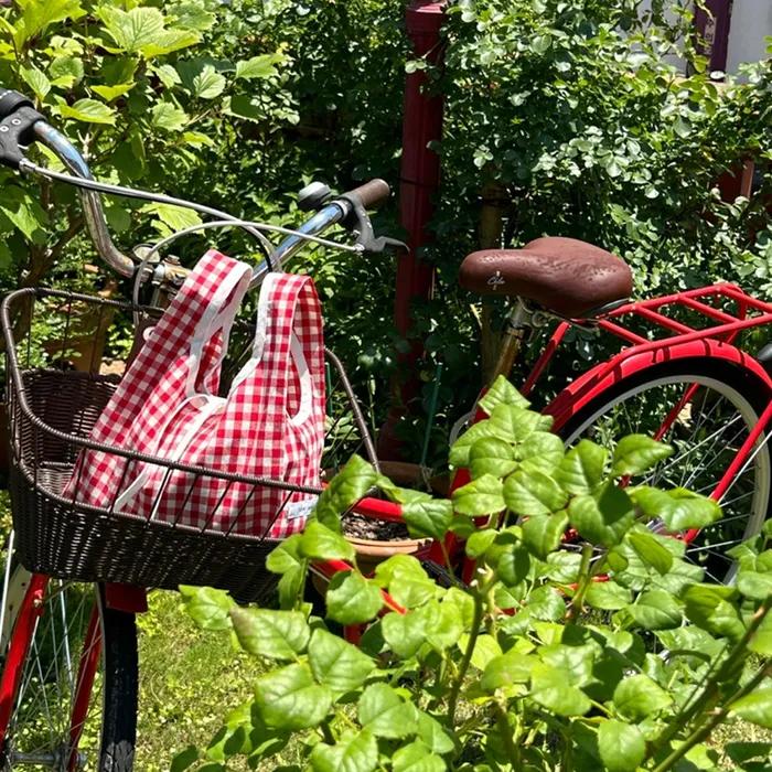 Obnuit Check Bongdal Bag_Red
