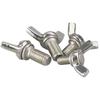 Haistike HKQS-48 304 Stainless Steel Wing Bolt