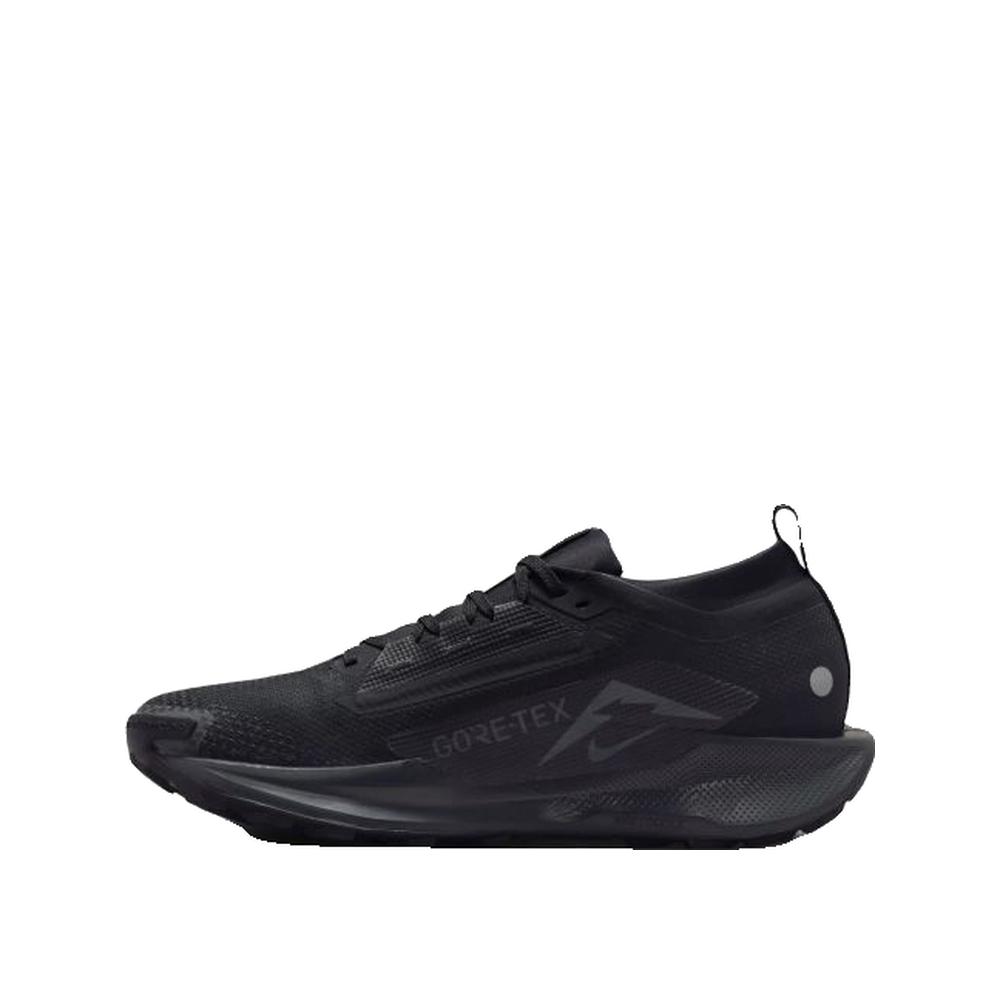 Footwear Type Nike Pegasus Trail 5