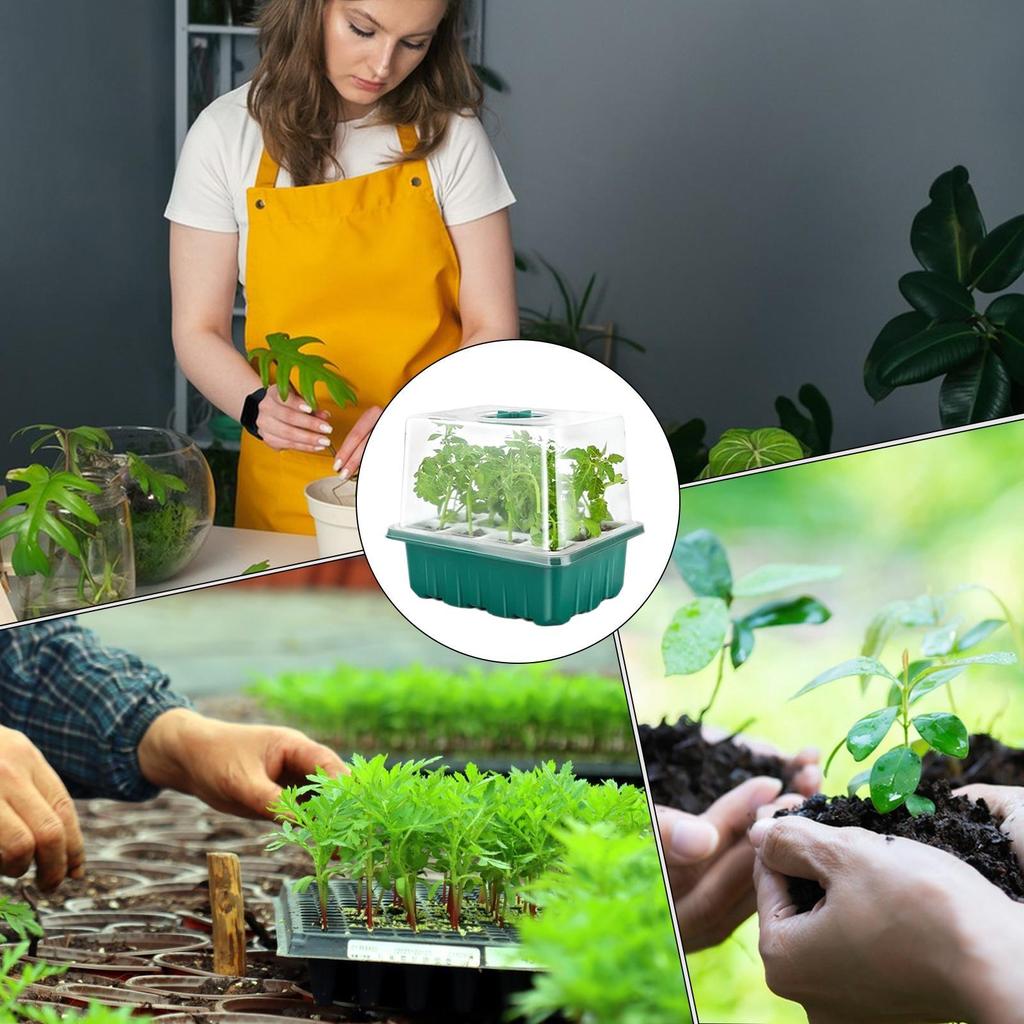 Germination Tray Mini Greenhouse Germination Kit With Humidity Dome Greenhouse Growing Starting Gardening Supplies For Indoor