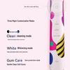 Philips Sonic Electric Toothbrush HX2462 CN plug (adapter included)