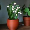 LED Lilies Night Whimsical Ambient Lighting For Bedrooms For Gifts