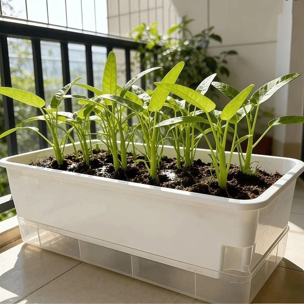 Plastic Hydroponic Plant Pots Self Watering Cultivation Box Plant Nursery Pot Planting Container Thicken Germination Tray